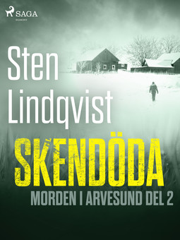 Lindqvist, Sten - Skendöda, ebook