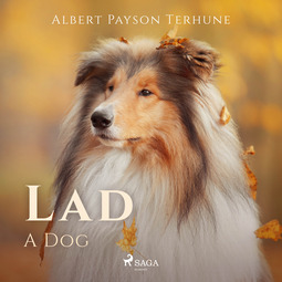 Terhune, Albert Payson - Lad: A Dog, audiobook