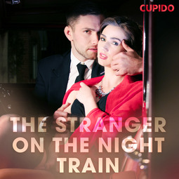 Anderson, Alessandra - The Stranger on the Night Train, audiobook