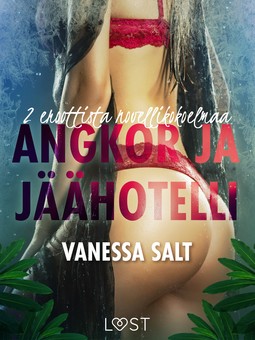 Salt, Vanessa - Angkor ja Jäähotelli: 2 eroottista novellikokoelmaa Vanessa Saltilta, e-kirja