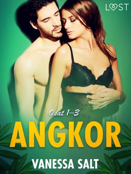 Salt, Vanessa - Angkor osat 1-3: eroottinen novellikokoelma, e-bok