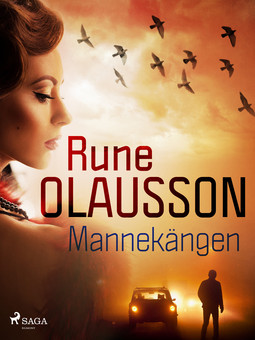 Olausson, Rune - Mannekängen, ebook