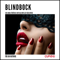 Wahlstedt, Malin - Blindbock - och andra förförisk erotiska noveller från Cupido, audiobook