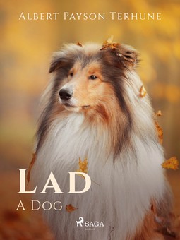 Terhune, Albert Payson - Lad: A Dog, ebook