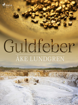 Lundgren, Åke - Guldfeber, ebook