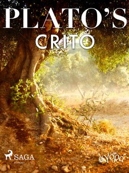 Plato - Plato's Crito, e-kirja