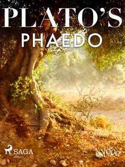 Plato - Plato's Phaedo, ebook