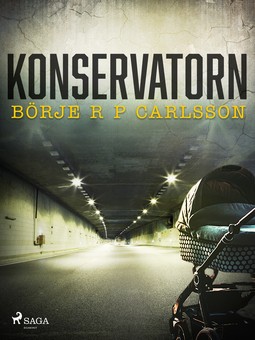 Carlsson, Börje R P - Konservatorn, ebook