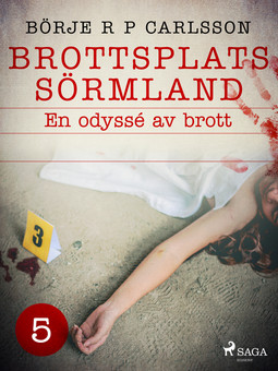 Carlsson, Börje R P - Brottsplats Sörmland. 5, En odyssé av brott, ebook