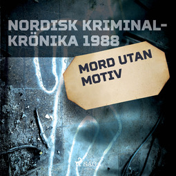 Löfgren, Björn - Mord utan motiv, audiobook
