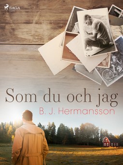 Hermansson, B. J. - Som du och jag, e-bok