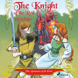 Gotthardt, Peter - The Adventures of the Elves 1 - The Knight of the Red Rosehips, audiobook