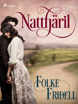 Fridell, Folke - Nattfjäril, ebook