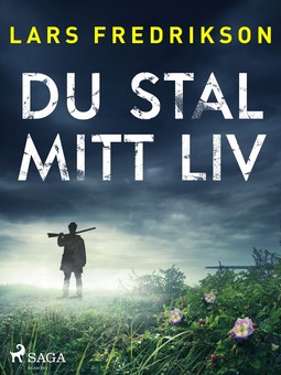 Fredrikson, Lars - Du stal mitt liv, ebook