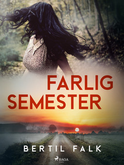 Falk, Bertil - Farlig semester, ebook