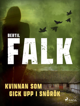 Falk, Bertil - Kvinnan som gick upp i snörök, ebook