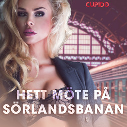 Bohman, Marcus - Hett möte på Sörlandsbanan - erotiska noveller, audiobook
