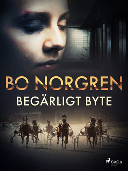 Norgren, Bo - Begärligt byte, ebook