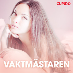 Gustafsson, Johan - Vaktmastaren - erotiska noveller, audiobook