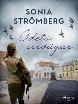 Strömberg, Sonia - Ödets irrvägar, ebook