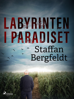 Bergfeldt, Staffan - Labyrinten i paradiset, ebook