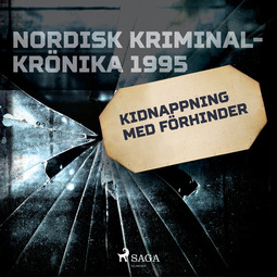 Diverse - Kidnappning med förhinder, audiobook