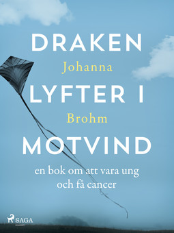 Brohm, Johanna - Draken lyfter i motvind, ebook