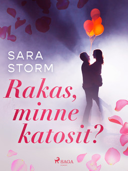 Storm, Sara - Rakas, minne katosit?, ebook
