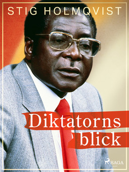 Holmqvist, Stig - Diktatorns blick, ebook
