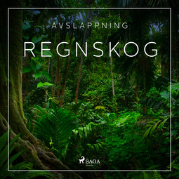 Broe, Rasmus - Avslappning - Regnskog, audiobook
