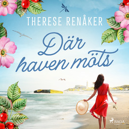 Renåker, Therese - Där haven möts, audiobook