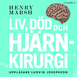 Marsh, Henry - Liv, död och hjärnkirurgi, e-kirja
