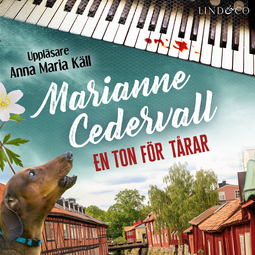 Cedervall, Marianne - En ton för tårar, audiobook