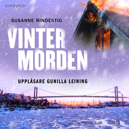 Rindestig, Susanne - Vintermorden, audiobook