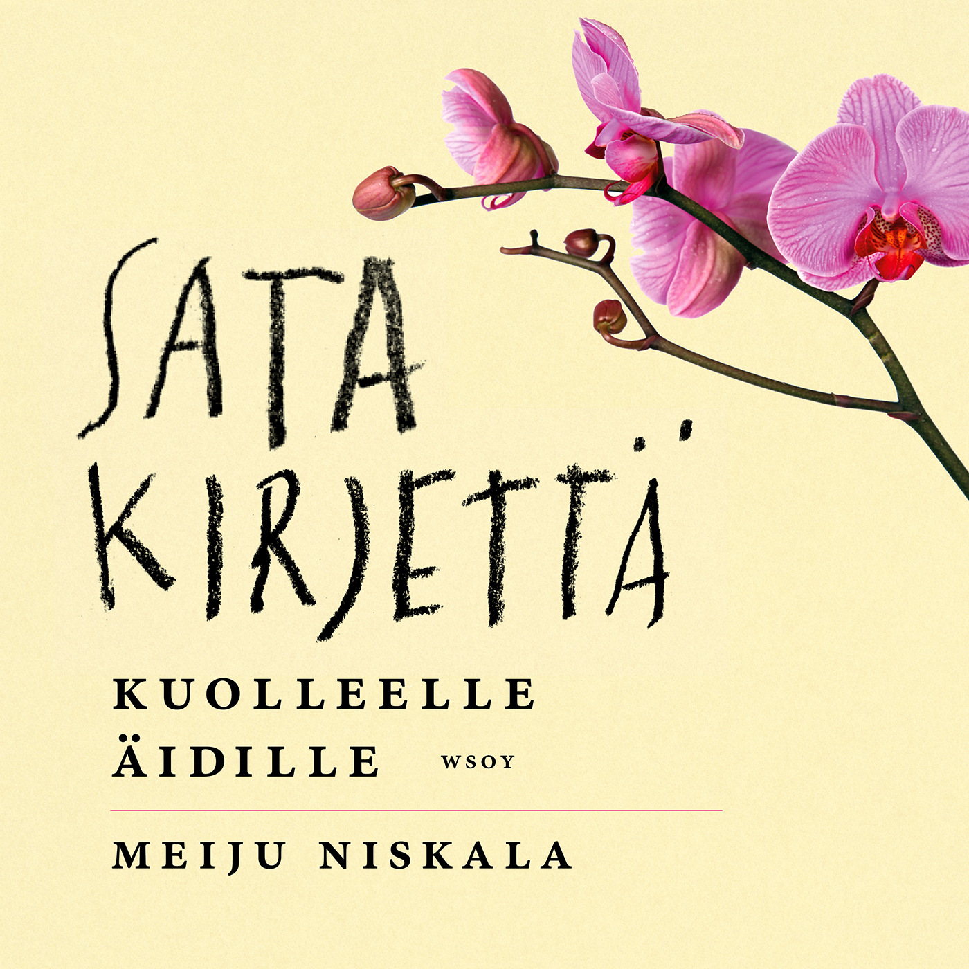 Niskala, Meiju - Sata kirjettä kuolleelle äidille, audiobook