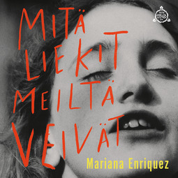 Enriquez, Mariana - Mitä liekit meiltä veivät, äänikirja
