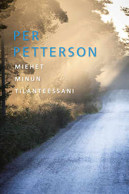 Petterson, Per - Miehet minun tilanteessani, e-bok