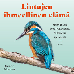 Ackerman, Jennifer - Lintujen ihmeellinen elämä: Miten linnut viestivät, pesivät, leikkivät ja ajattelevat, äänikirja