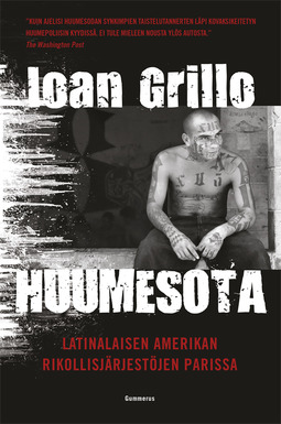 Grillo, Ioan - Huumesota: Latinalaisen Amerikan rikollisjärjestöjen parissa, e-kirja