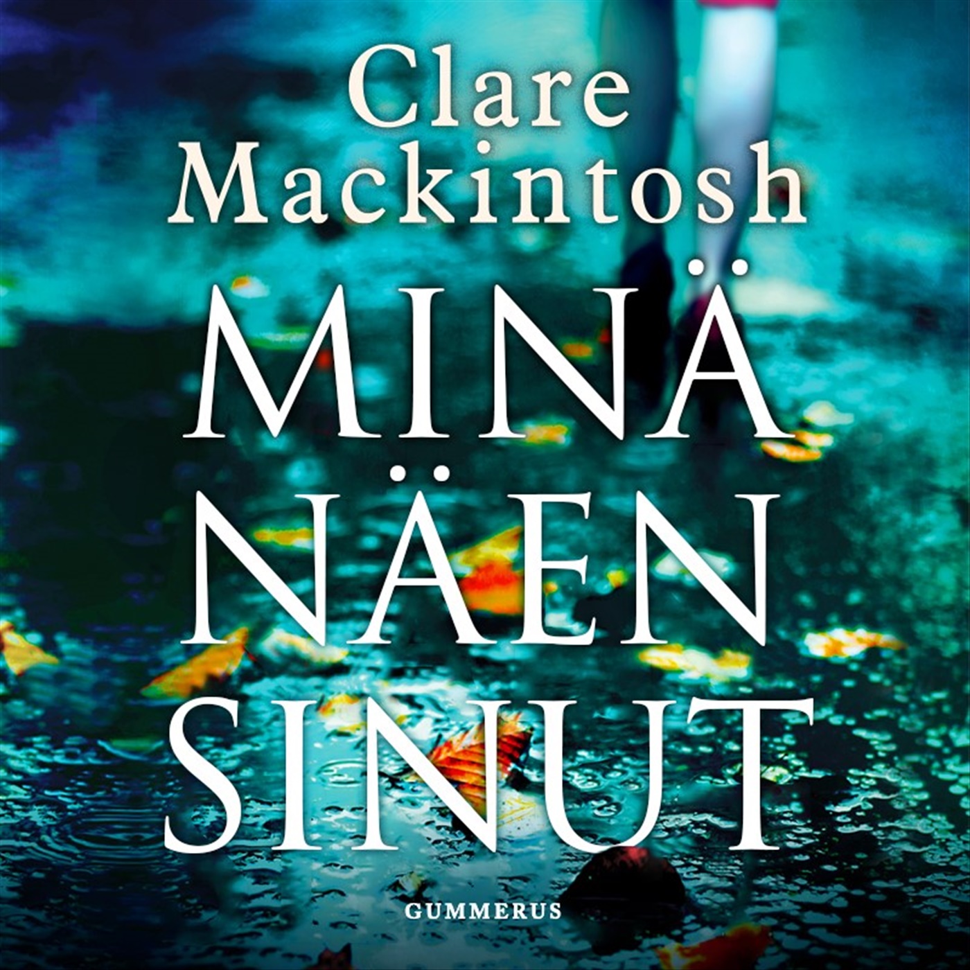 Mackintosh, Clare - Minä näen sinut, äänikirja