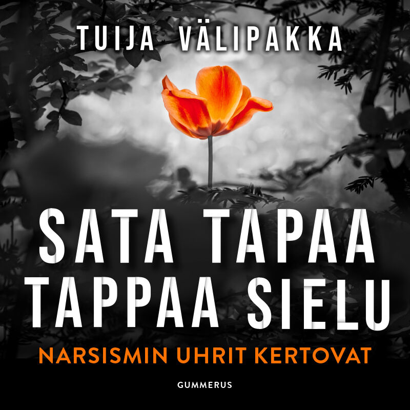 Välipakka, Tuija - Sata tapaa tappaa sielu: Narsismin uhrit kertovat, audiobook