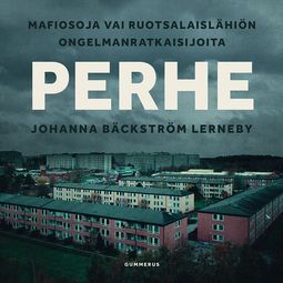 Lerneby, Johanna Bäckström - Perhe: Mafiosoja vai ruotsalaislähiön ongelmanratkaisijoita, audiobook
