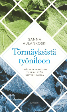 Aulankoski, Sanna - Törmäyksistä työniloon: Työterveyshuolto tukena työn ristiriidoissa, ebook