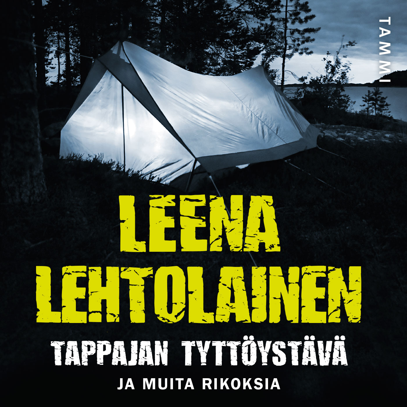 Lehtolainen, Leena - Tappajan tyttöystävä: ja muita rikoksia, audiobook