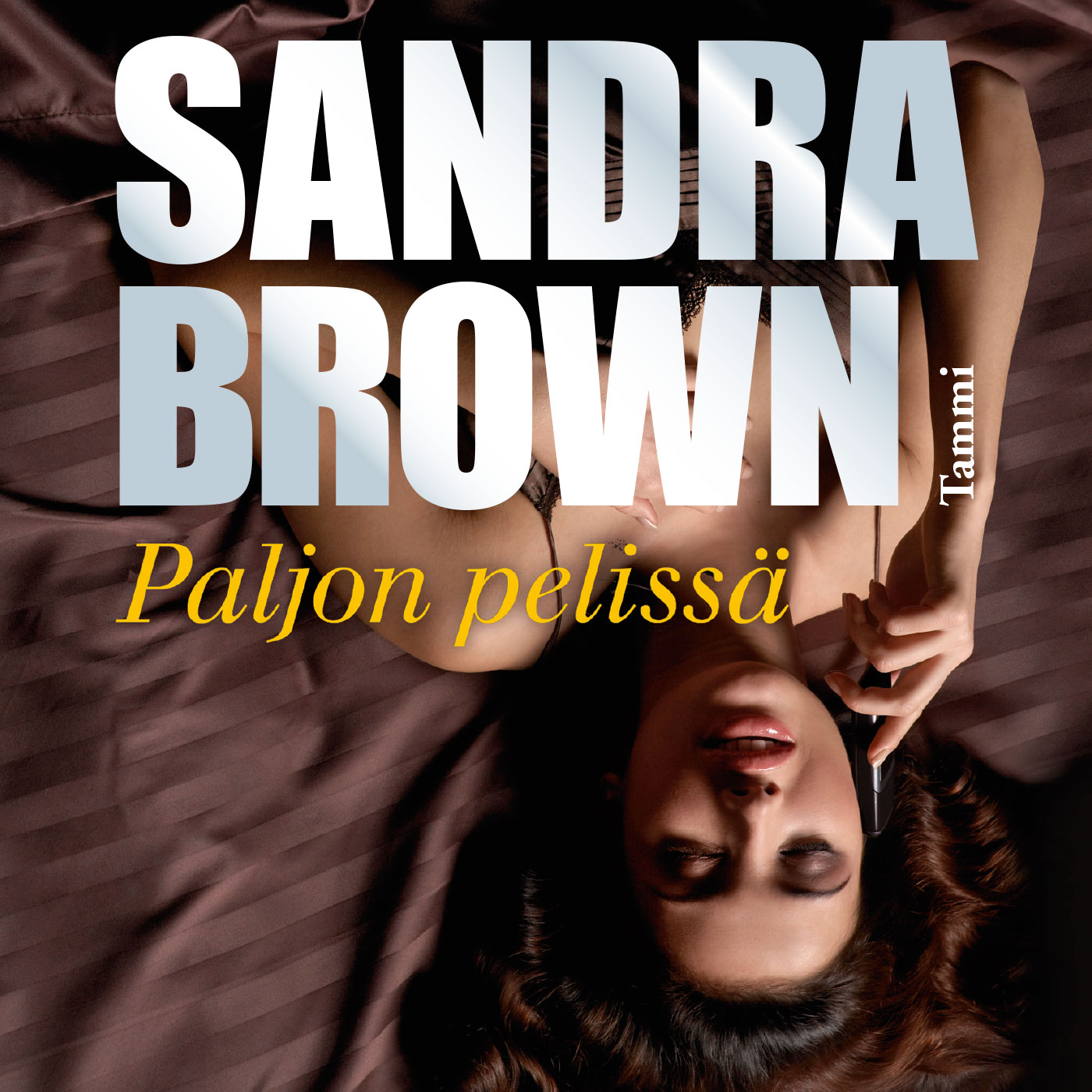Brown, Sandra - Paljon pelissä, äänikirja