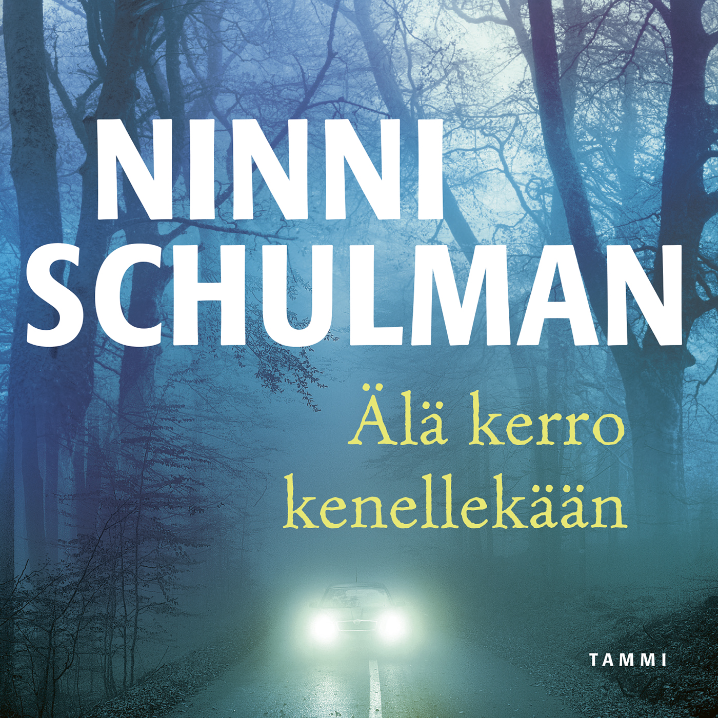 Schulman, Ninni - Älä kerro kenellekään, äänikirja