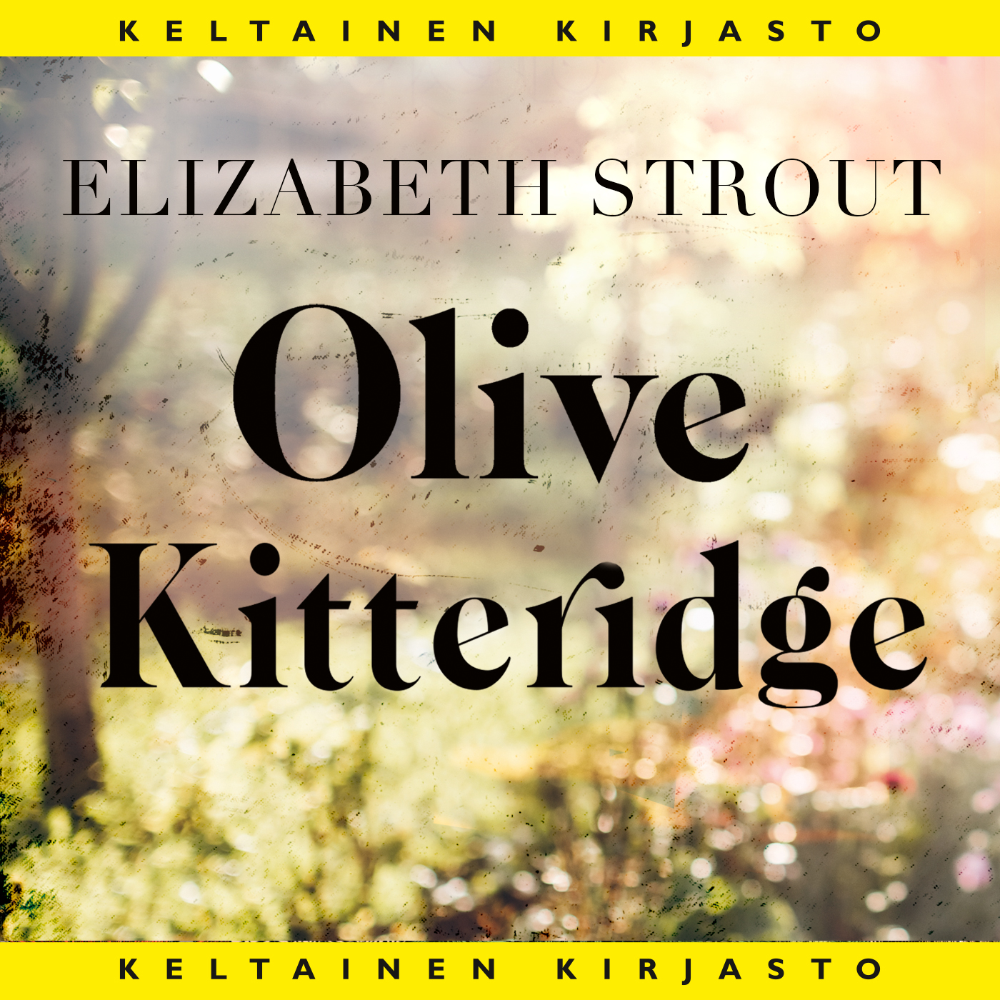 Strout, Elizabeth - Olive Kitteridge, äänikirja