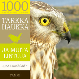 Laaksonen, Juha - Tarkka haukka ja muita lintuja, äänikirja