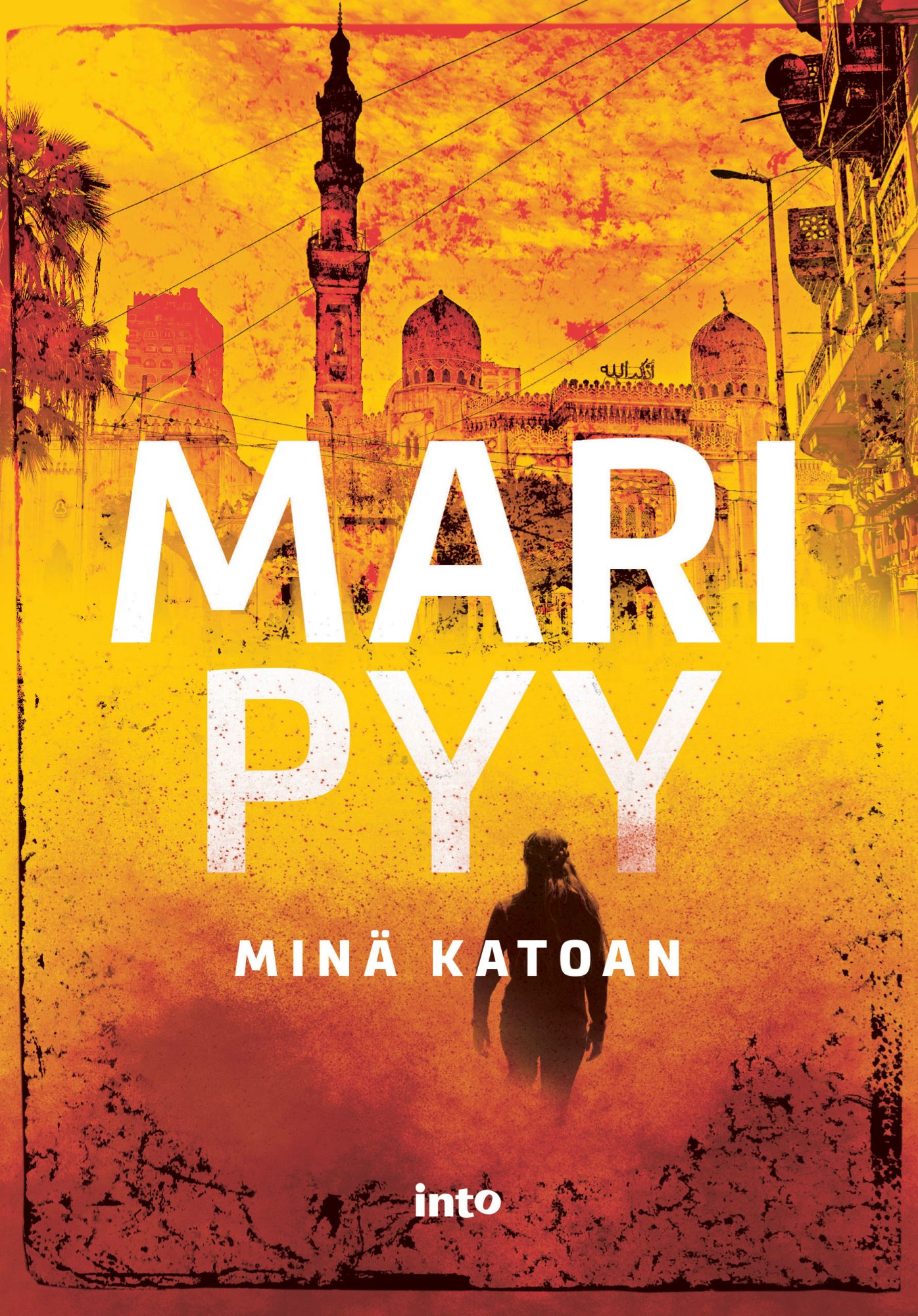 Pyy, Mari - Minä katoan, ebook