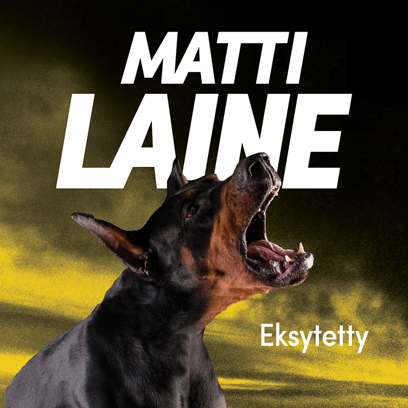 Laine, Matti - Eksytetty, audiobook